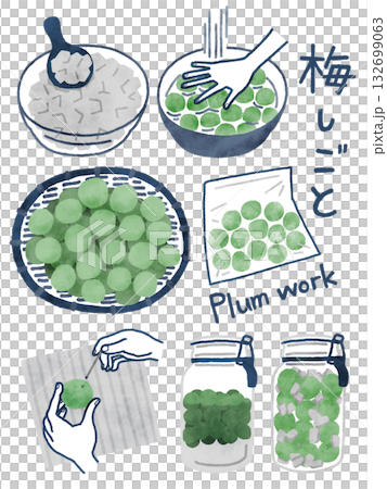 梅作りの工程を描いた緑と紺色のイラスト 梅作りの工程を描いた緑と紺色のイラスト 132699063