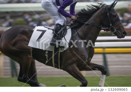 東京競馬場（府中競馬場） 132699065