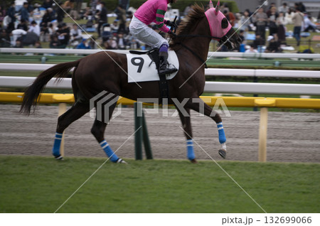 東京競馬場（府中競馬場） 132699066