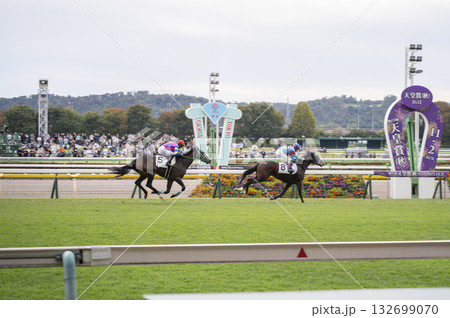 東京競馬場(府中競馬場) 東京競馬場(府中競馬場) 132699070