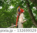 カラフルなオウム 132699329
