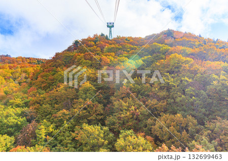 紅葉見頃な山形蔵王高原 紅葉見頃な山形蔵王高原 132699463