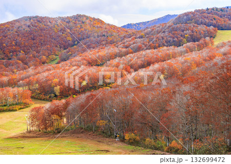 紅葉見頃な山形蔵王高原 132699472