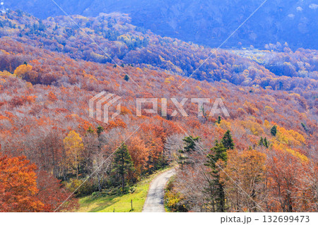 紅葉見頃な山形蔵王高原 132699473