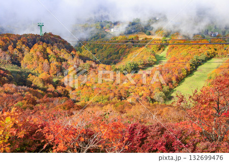 紅葉見頃な山形蔵王高原 132699476