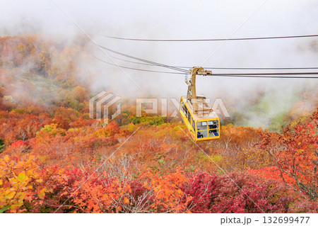 紅葉見頃な山形蔵王高原 紅葉見頃な山形蔵王高原 132699477