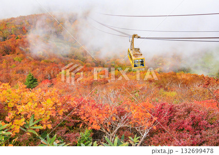 紅葉見頃な山形蔵王高原 紅葉見頃な山形蔵王高原 132699478