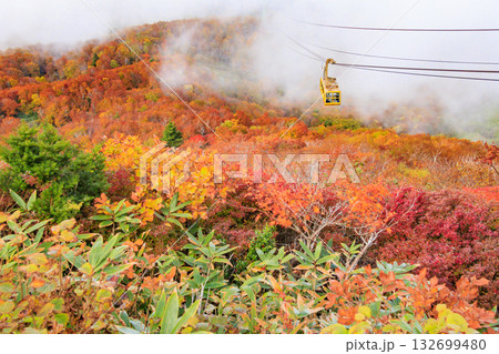 紅葉見頃な山形蔵王高原 132699480
