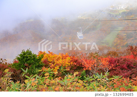 紅葉見頃な山形蔵王高原 紅葉見頃な山形蔵王高原 132699485