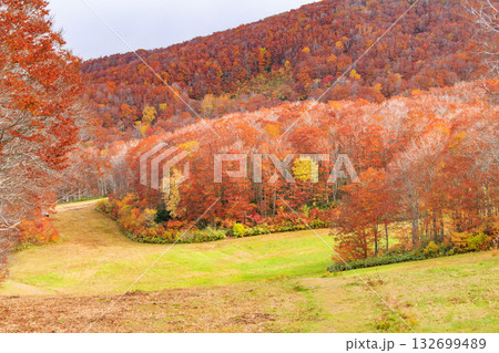 紅葉見頃な山形蔵王高原 紅葉見頃な山形蔵王高原 132699489