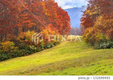 紅葉見頃な山形蔵王高原 紅葉見頃な山形蔵王高原 132699493