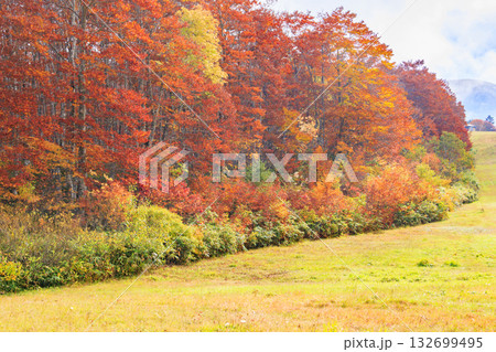 紅葉見頃な山形蔵王高原 132699495