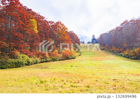 紅葉見頃な山形蔵王高原 132699496