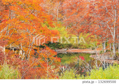 紅葉見頃な山形蔵王高原 132699500
