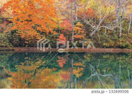 紅葉見頃な山形蔵王高原 紅葉見頃な山形蔵王高原 132699506