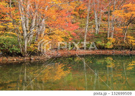 紅葉見頃な山形蔵王高原 紅葉見頃な山形蔵王高原 132699509