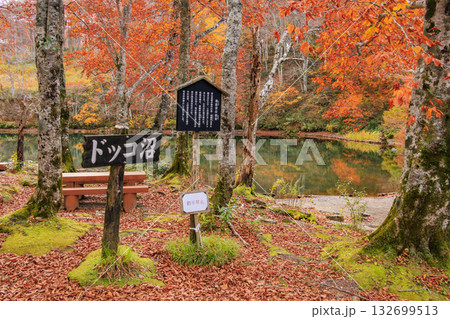 紅葉見頃な山形蔵王高原 紅葉見頃な山形蔵王高原 132699513