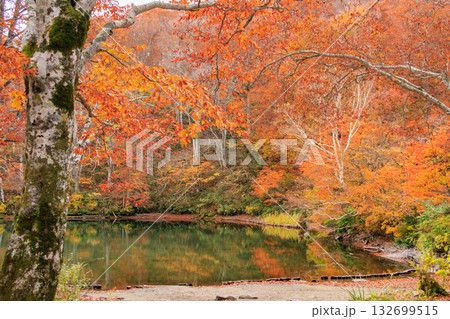 紅葉見頃な山形蔵王高原 132699515