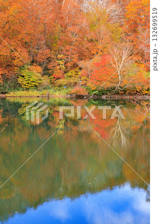 紅葉見頃な山形蔵王高原 132699519