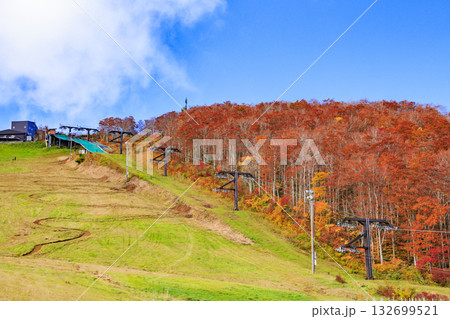 紅葉見頃な山形蔵王高原 紅葉見頃な山形蔵王高原 132699521