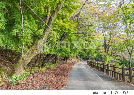 秋の天ケ瀬森林公園　京都府宇治市 132699529