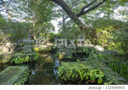 鎌倉 長谷寺の卍池 132699903