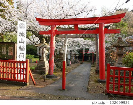 国宝松江城内にある小泉八雲が毎日のように足を運んだ由緒ある城山稲荷神社の朱の鳥居と桜 国宝松江城内にある小泉八雲が毎日のように足を運んだ由緒ある城山稲荷神社の朱の鳥居と桜 132699922