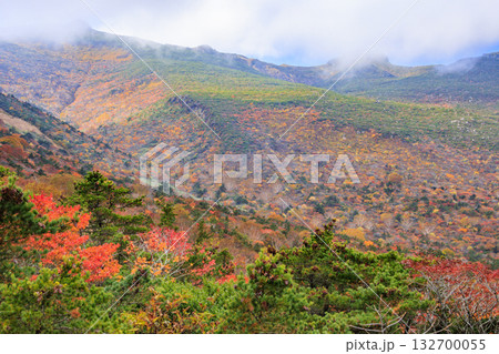 紅葉見頃な安達太良山 132700055