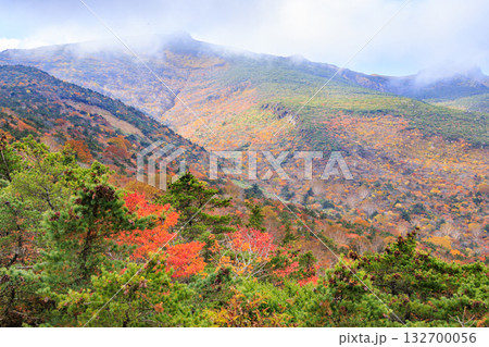 紅葉見頃な安達太良山 132700056