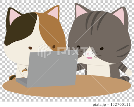 ノートpcを操作する三毛猫と教えるサバトラ猫 ノートpcを操作する三毛猫と教えるサバトラ猫 132700111