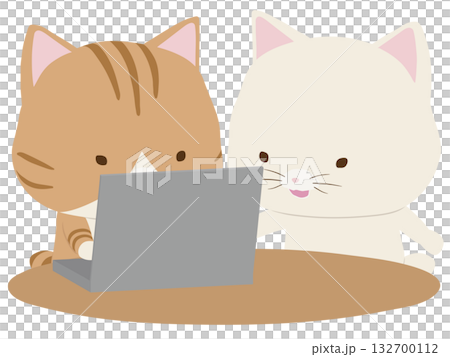 一隻棕色虎斑貓在操作筆記型電腦,一隻白色貓在教學 一隻棕色虎斑貓在操作筆記型電腦,一隻白色貓在教學 132700112