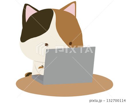 ノートpcを操作する三毛猫 ノートpcを操作する三毛猫 132700114