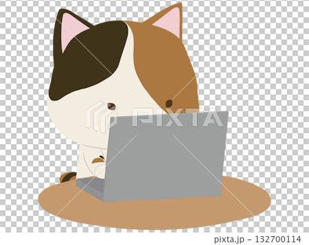 ノートpcを操作する三毛猫 ノートpcを操作する三毛猫 132700114