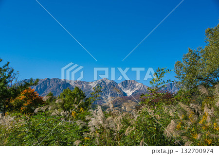 秋景色と山岳風景 白馬村 秋景色と山岳風景 白馬村 132700974