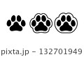 足跡　肉球　犬　猫 132701949