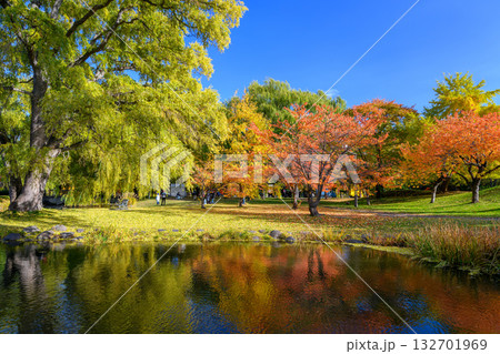 中島公園秋の一日_3616 132701969