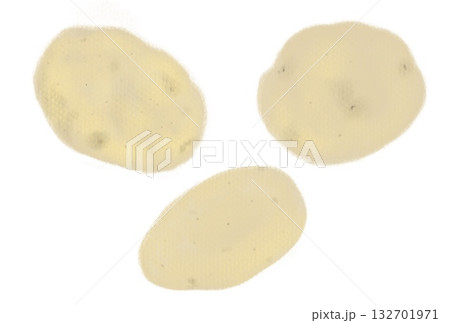 ジャガイモのイラスト、白バック 132701971