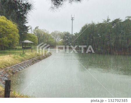 大雨の湖畔 大雨の湖畔 132702385