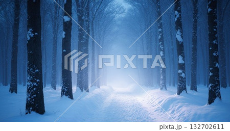 雪の降る森 132702611
