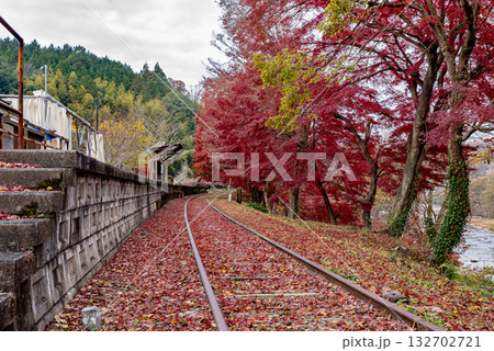 紅葉の名鉄三河広瀬駅 紅葉の名鉄三河広瀬駅 132702721