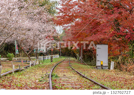 紅葉の名鉄三河広瀬駅 紅葉の名鉄三河広瀬駅 132702727