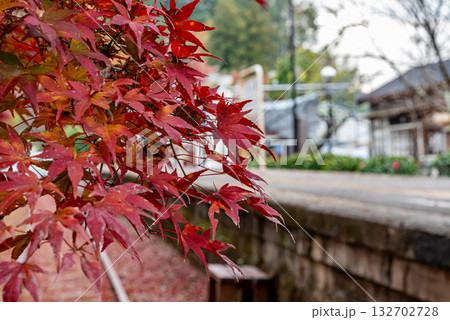 紅葉の名鉄三河広瀬駅 132702728