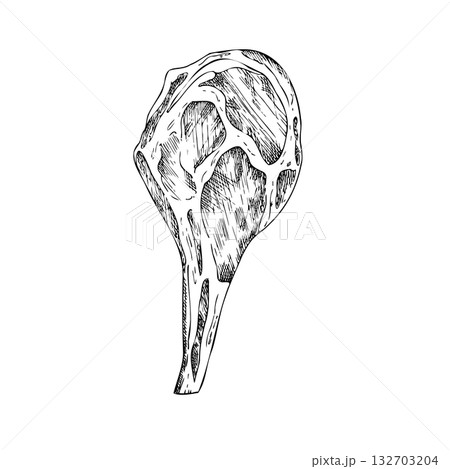 Vector Meat on the ribs. Graphic ink pork or beef illustration, isolated on background. Hand drawn line sketch. For designers, prints, logo, icon, menu, postcards, holiday, covers 132703204