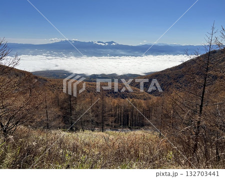 高峰高原から秋の雲海 132703441