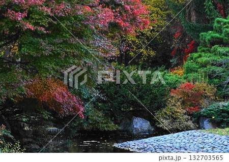 紅葉のある風景 132703565