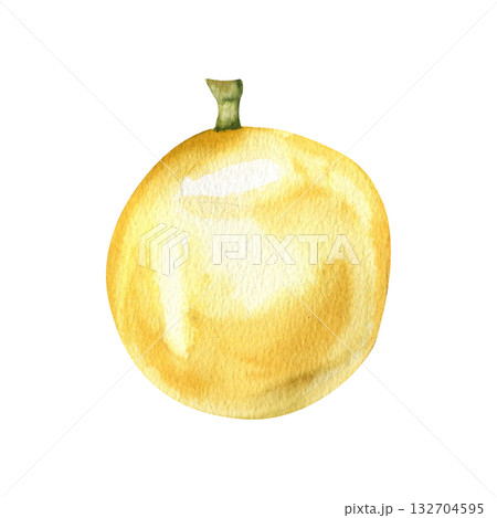 Passion fruit fresh ripe watercolor illustration. Hand drawn isolated yellow tropical juicy fruits, vegan healthy food for poster, label, seasonal drink menu design. Juice ingredient 132704595