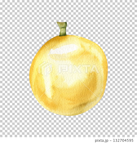 Passion fruit fresh ripe watercolor illustration. Hand drawn isolated yellow tropical juicy fruits, vegan healthy food for poster, label, seasonal drink menu design. Juice ingredient 132704595