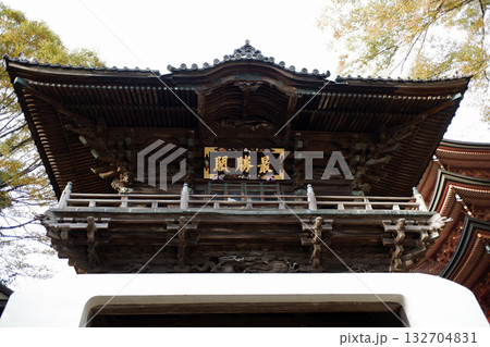 千葉県柏市　布施弁天の楼門 132704831