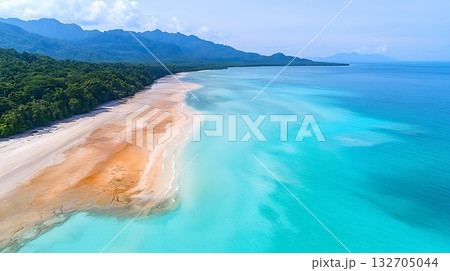 Serene Aerial View of Tropical Beach with Crystal Clear Waters and Lush Green Forest 132705044