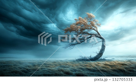 Dramatic Landscape with Windblown Tree Under Dark Stormy Clouds and Golden Grass Field Dramatic Landscape with Windblown Tree Under Dark Stormy Clouds and Golden Grass Field 132705333